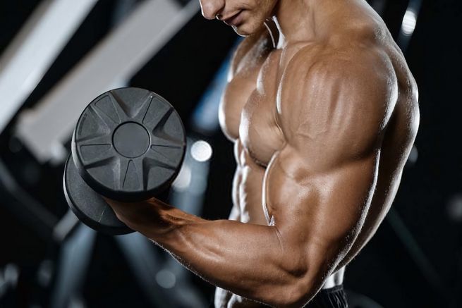 Estanozolol: efectos de la aplicación